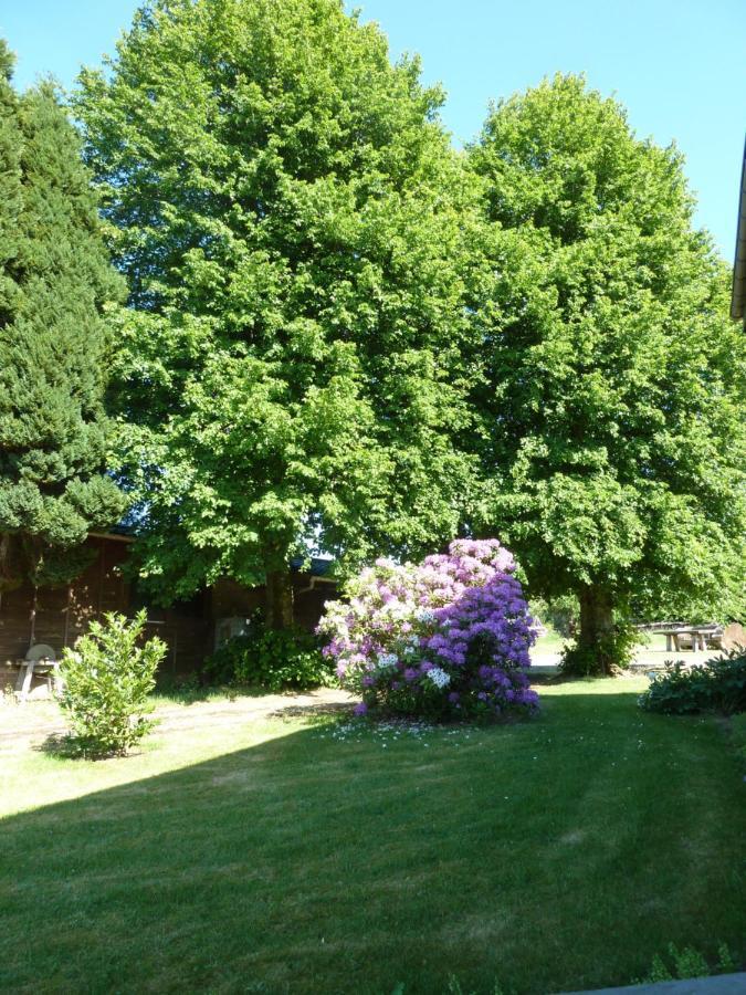 'Chez Lulu' - Gite Cocon Avec Bain Nordique Ardenne Nassogne Kültér fotó